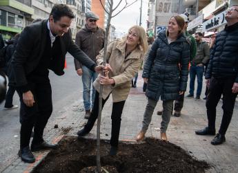 Plantación de árboles en Av.18 de Julio en el marco del proyecto de arbolado en Montevideo