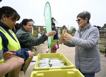 Entrega de esquejes de rosales en el Rosedal del Prado