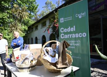 Cierre de actividades en Cedel Carrasco