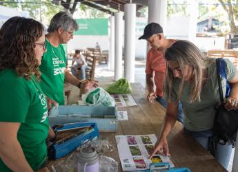 Entrega de semillas en la Semana Criolla 2024
