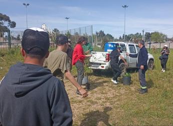 Jornada de plantación