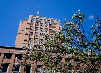Palacio Municipal. Edificio Sede Intendencia de Montevideo.