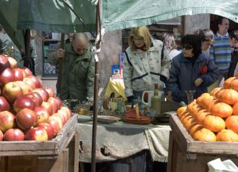 Feria de frutas y verduras