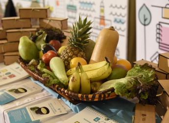Alimentación saludable