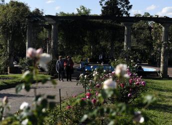 Rosedal del Prado