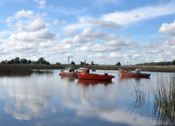 Humedales del Río Santa Lucía