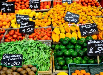 Feria de alimentos saludables. Explanada y Atrio de la IM.
