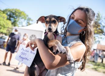 Jornada de adopción de animales de compañia organizada por la Asociación Animalista LIBERA