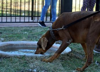 Inauguración de Parque Canino