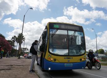 Línea de ómnibus 316