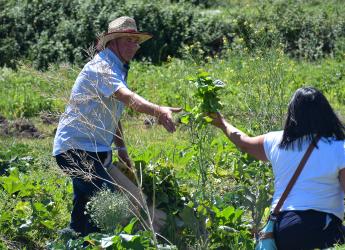Promoción de la biodiversidad y sustentabilidad