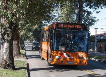 Omnibus en avenida Rivera