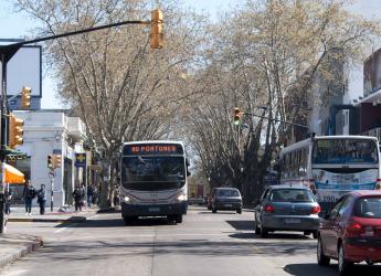 Omnibus en avenida Rivera