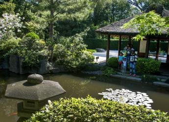 Jardín Japonés