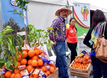 Día Mundial de la Alimentación