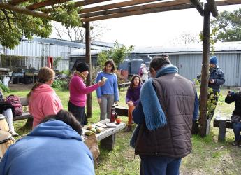 Proyecto Huerta en casa