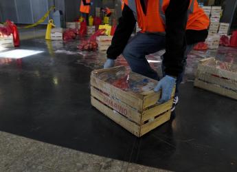 Entrega de canastas alimentarias en el atrio de la IM
