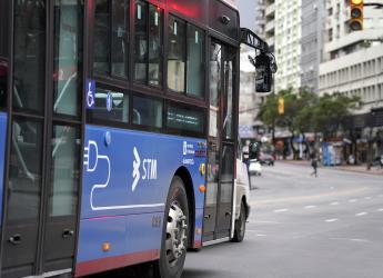 Nuevas líneas de ómnibus eléctricos