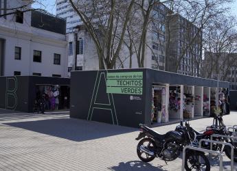 Paseo de Compras Techitos Verdes 