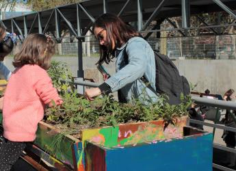 Huerta inclusiva en Parque de la Amistad 
