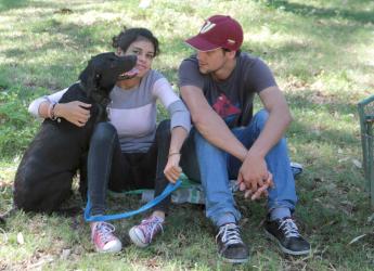 Jornada de castración de perros 