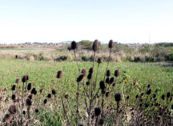 Recorrida arroyo Pantanoso