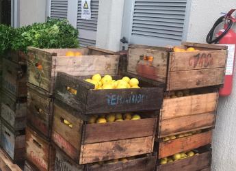 Recuperación de alimentos con destino a la Red de Ollas Populares