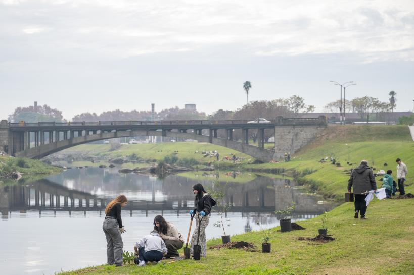 Renaturalización del arroyo Miguelete 