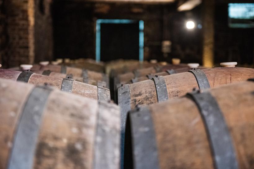 Recorrida por bodega Carrau