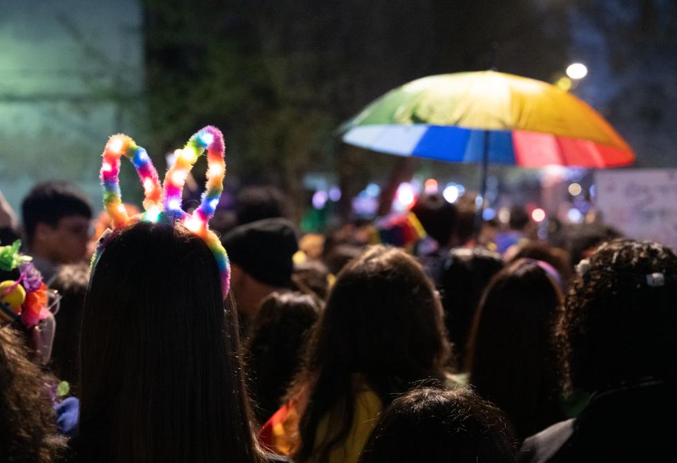Marcha por la diversidad 2024 Marcha por la diversidad 2024