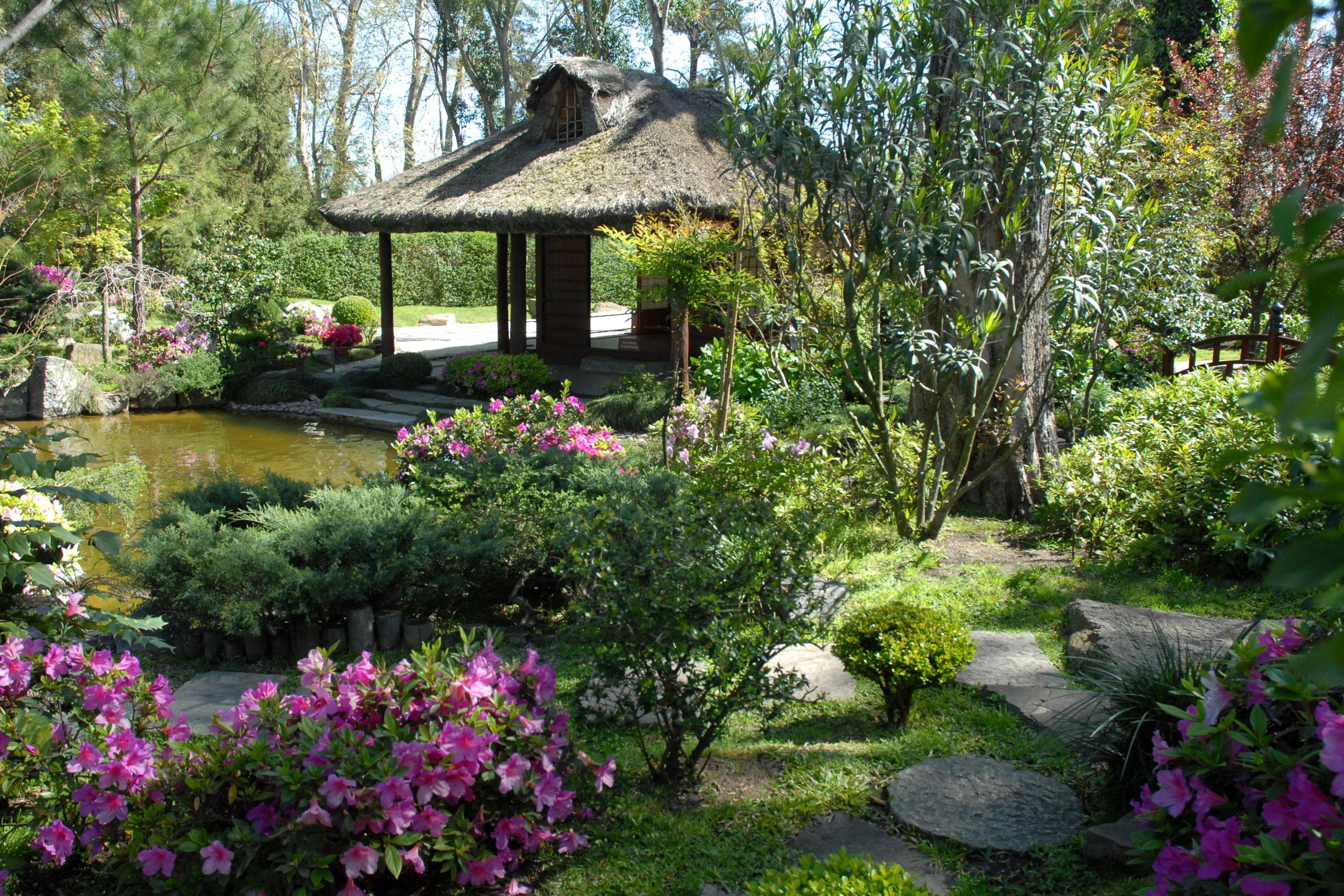 Realizan mantenimiento en Jardín Japonés | Intendencia de Montevideo.